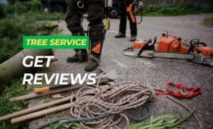how to get reviews for your tree service business